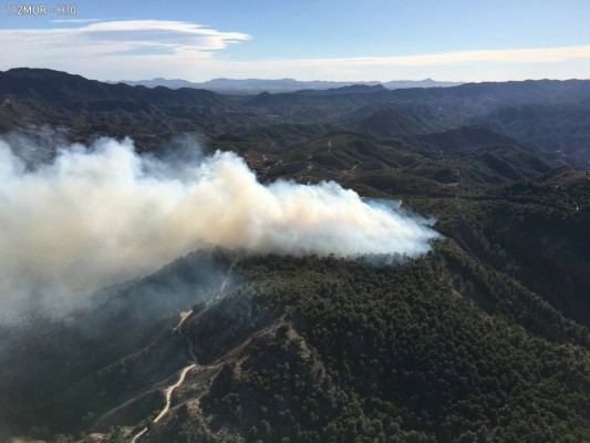 Alerta roja en los montes de la Región: clausura general para evitar incendios como los que asolan Grecia