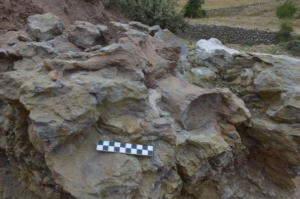 Hallan huesos de dinosaurios saurópodos y dientes de tiburón en un yacimiento de Castellón