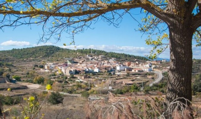 Castellón logra el 46 % de las ayudas del Consell a la memoria histórica con cerca de 450.000 euros