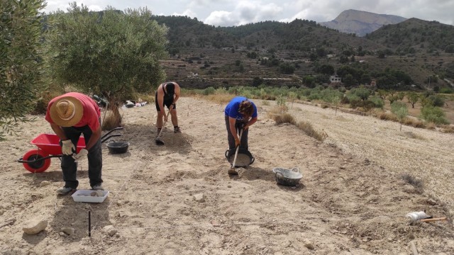 Comienzan los sondeos arqueológicos en la alquería de Puça en busca de las raíces medievales de Petrer