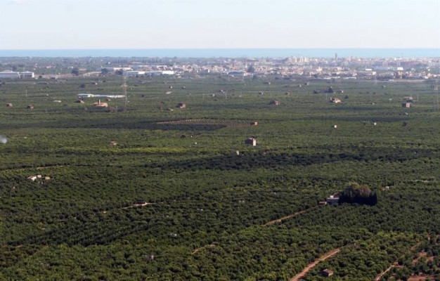 Gestión común de tierras agrícolas: la alternativa al abandono impulsada por la UPV junto a Cajamar