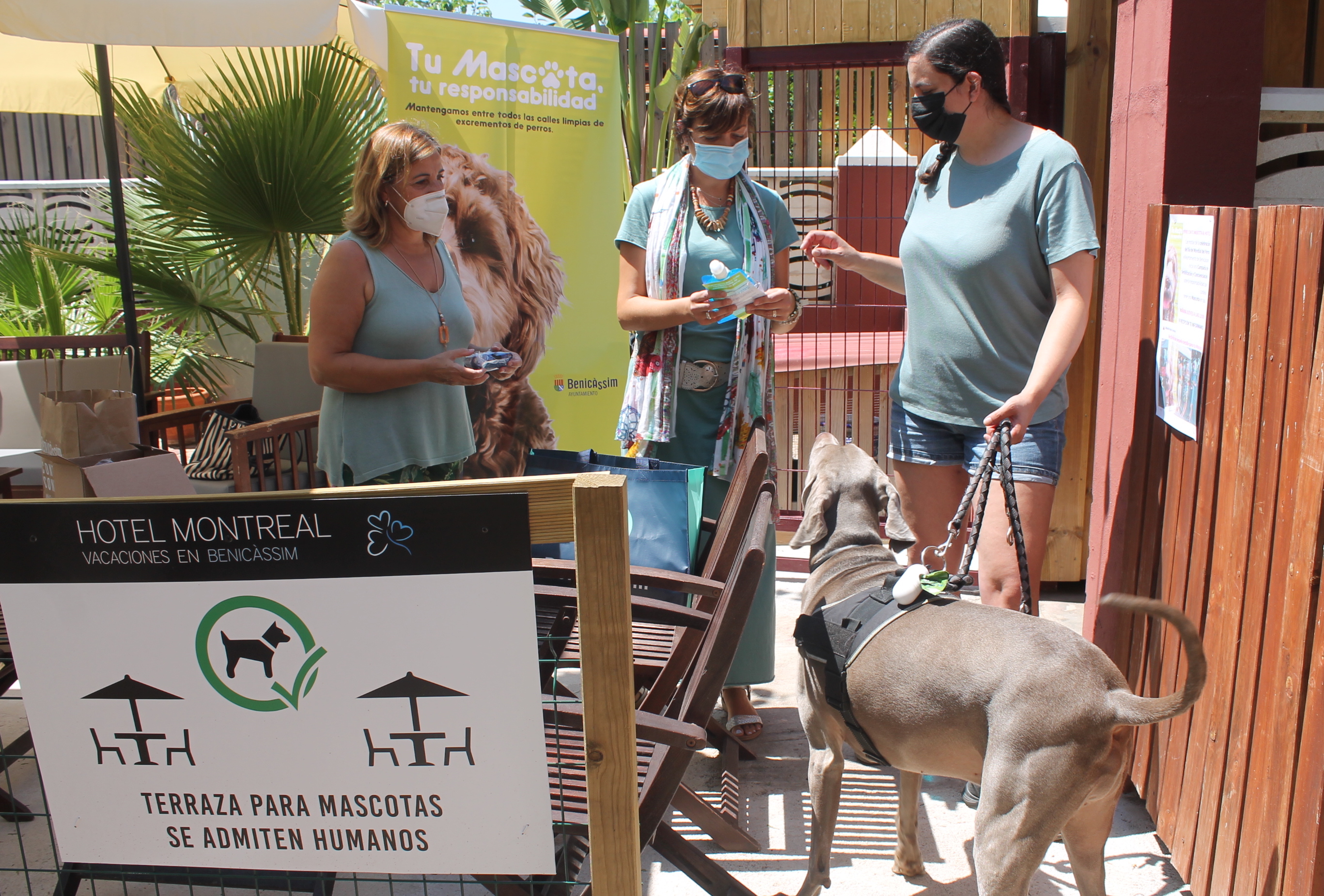 Benicàssim amplia a hoteles y campings su campaña 'Tu mascota, tu responsabilidad'
