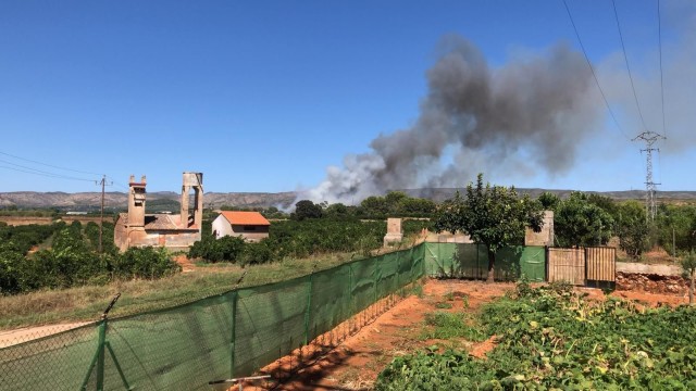 Un incendio forestal en Rafelguaraf (Valencia) obliga a desalojar dos urbanizaciones