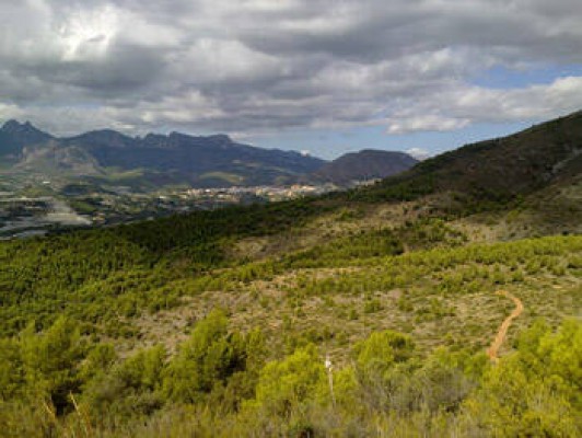 Los ecologistas piden la nulidad del trámite que validaría el PAI de Anibits de Callosa