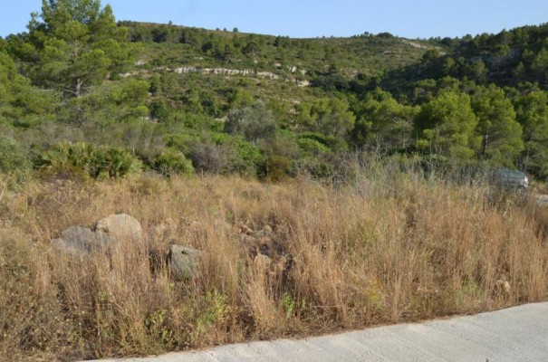 Monte Lesedi proyecta un camping en una parcela de 10.000 metros en el paraje Seguili de Benidoleig

