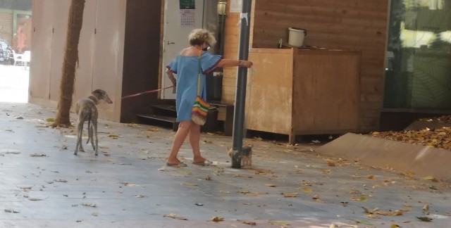 Multas de hasta 1.500 euros por los 'descuidos' de las mascotas en las calles de Cartagena