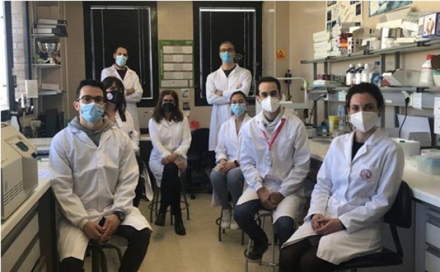 Científicos murcianos descubren el mecanismo responsable de los procesos de alergia
