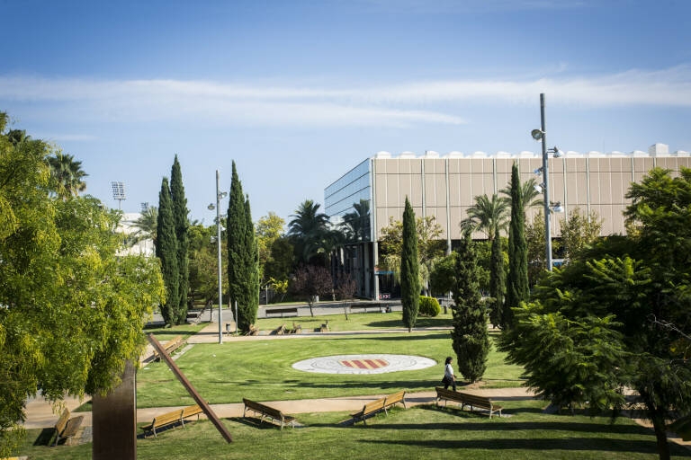 El Gobierno aprueba los nuevos requisitos de creación de universidades