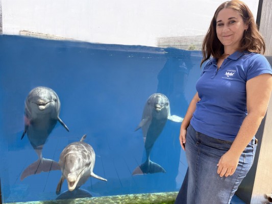 Investigadores murcianos participan en el primer estudio mundial sobre proteínas en semen de delfines
