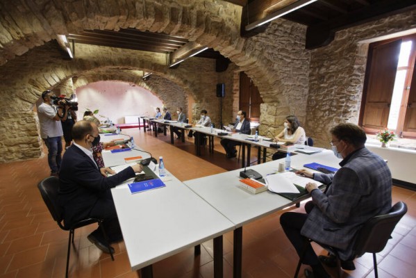 Seminari XI: el Botànic sufre para mantener el pulso de la gestión ordinaria ante
la pandemia