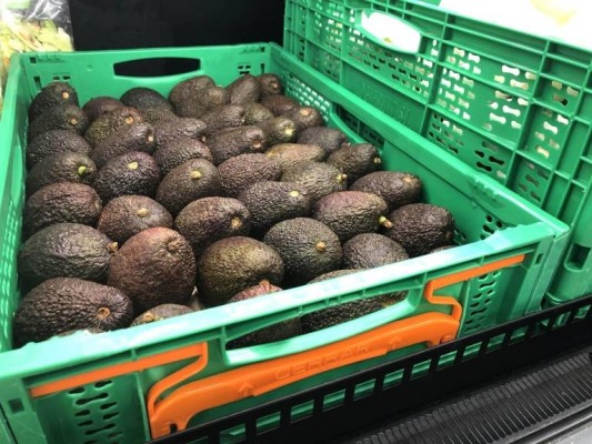 Trops y la Cooperativa Agrícola de Callosa firman un convenio para la producción y comercialización de aguacate