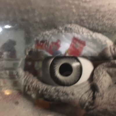 El ojo del ruzafismo lumbersexual