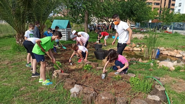 Los talleres al aire libre 'Aula Viva Naturalment' de Vila-real acogieron a 572 escolares este año