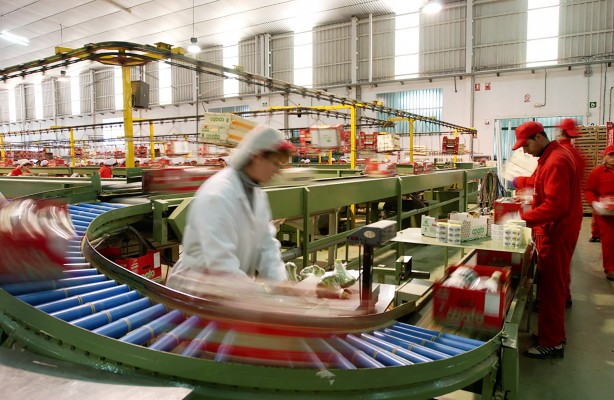Coato y Cruz Roja colaborarán en la inserción laboral de mujeres de la zona de Totana