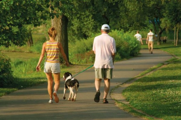 Mejores parques de Valencia para ir con perros 