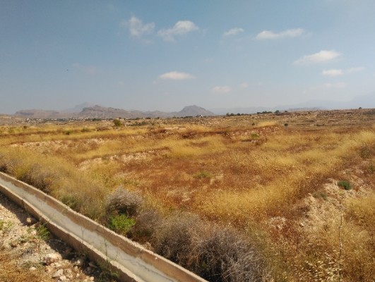 San Vicente promueve un Banco de Tierras 
para recuperar la actividad agraria en el municipio
