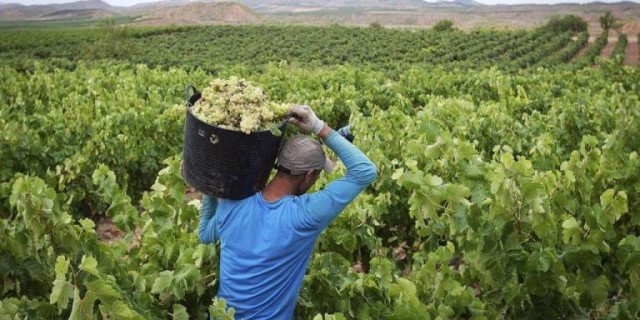La contratación temporal en la Región de Murcia crece un 9,2% en el primer semestre