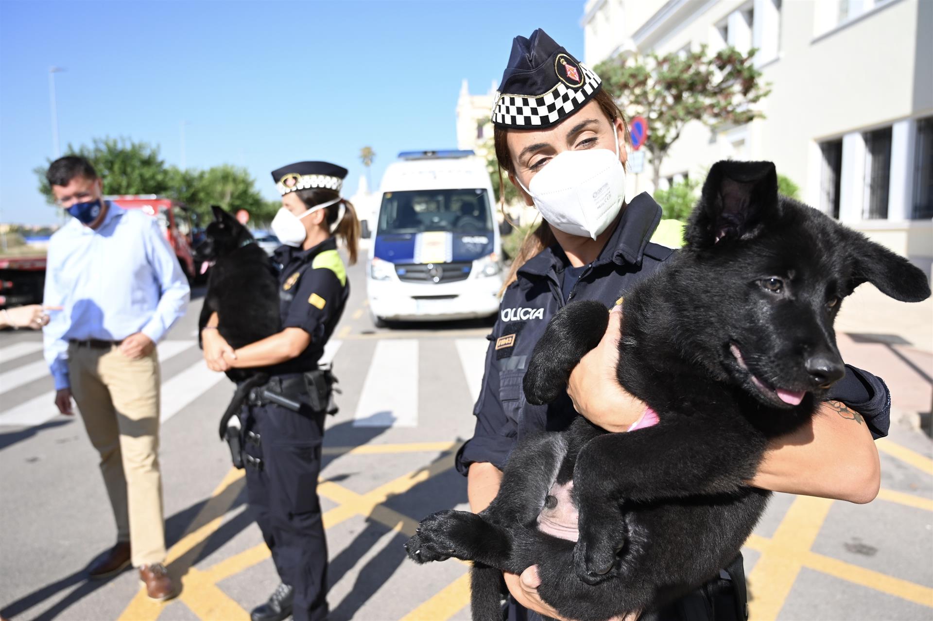 La UCAN de Castelló entrega dos cachorros de perro policía a la Guardia Urbana de Barcelona
