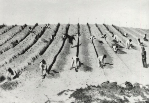 Tecnologia per cavalcar dunes i bancals