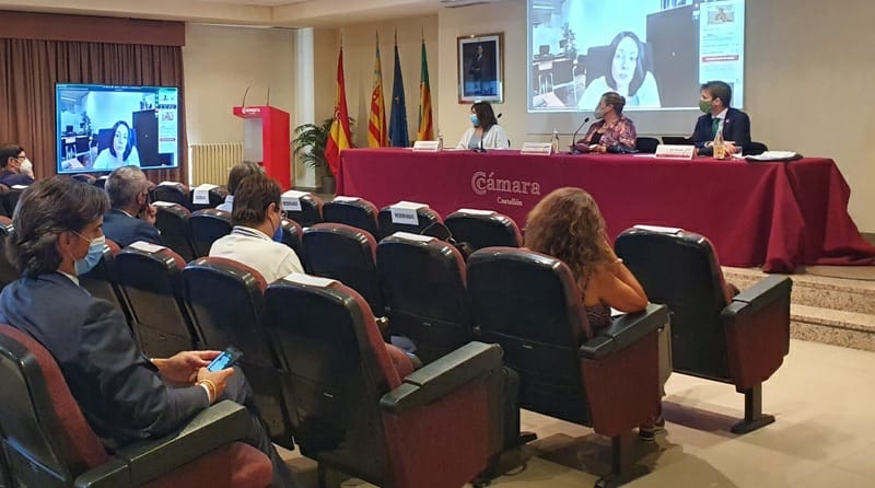 La Cámara de Castellón e Iberdrola analizan las oportunidades que acompañan al hidrógeno verde 