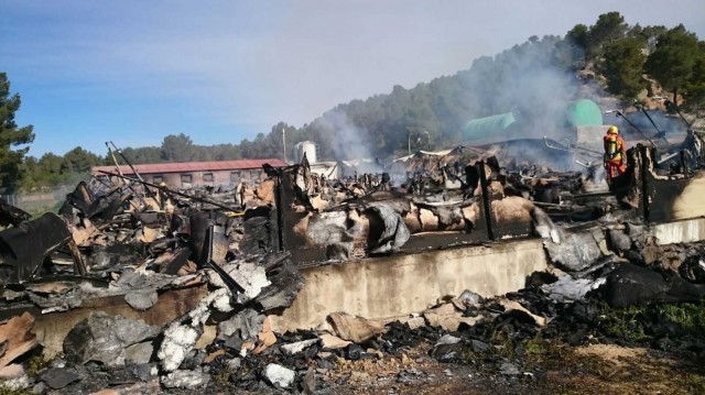 9.000 cerdos han muerto en el incendio de la granja de Venta del Moro