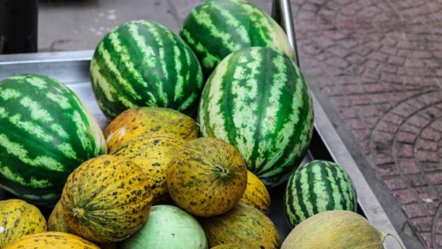 La campaña regional del melón y la sandía lucha por cubrir los costes ante la amenaza del calor