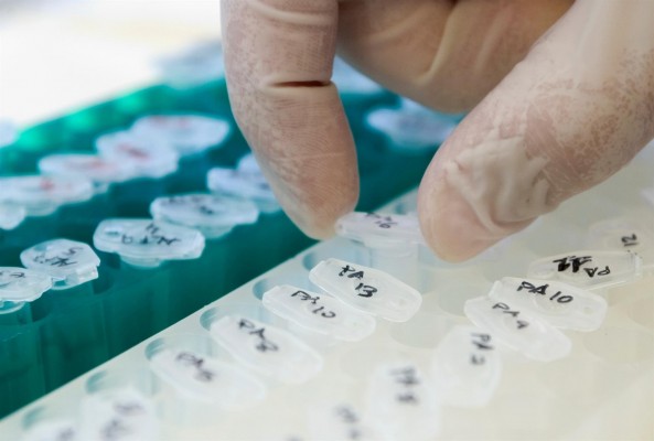 El 73% de los universitarios abogan por introducir asignaturas de IA y Big Data en carreras sanitarias