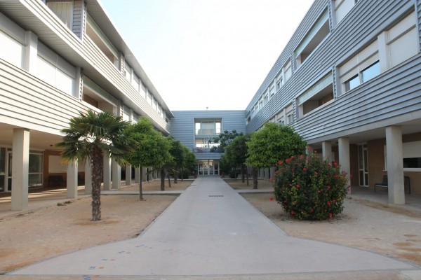 Almoradí adjudica la redacción del proyecto para obras de cuatro de los cinco centros educativos públicos