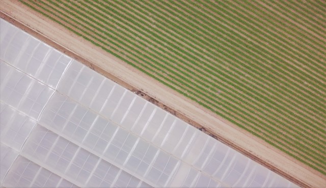 La agricultura regional destaca por su técnica pionera en el reciclaje de plásticos
