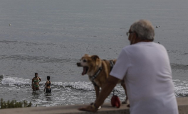 La ley de protección de los animales de compañía ayudará a los consistorios a lograr el 