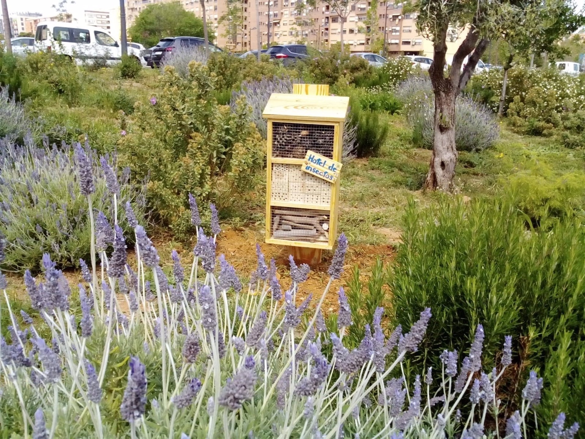 Hotel de insectos en València. Foto: AYUNTAMIENTO DE VALÈNCIA - 