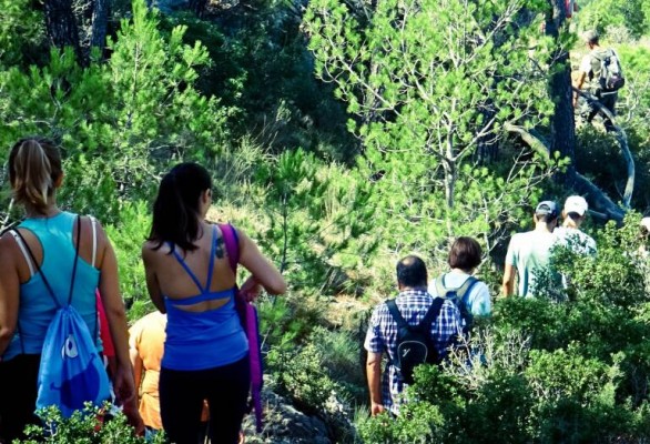 Turisme propone incluir en la Ley de Hospitalidad el ecoturismo tras su auge en la pandemia 