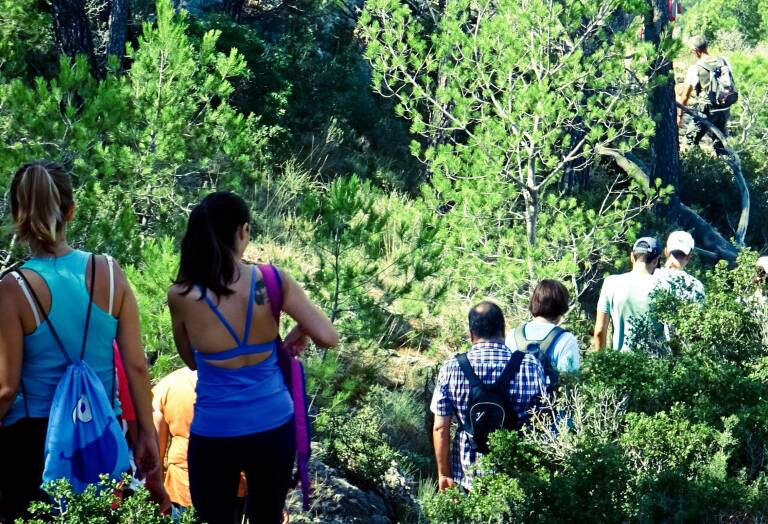 Turisme propone incluir en la Ley de Hospitalidad el ecoturismo tras su auge en la pandemia 