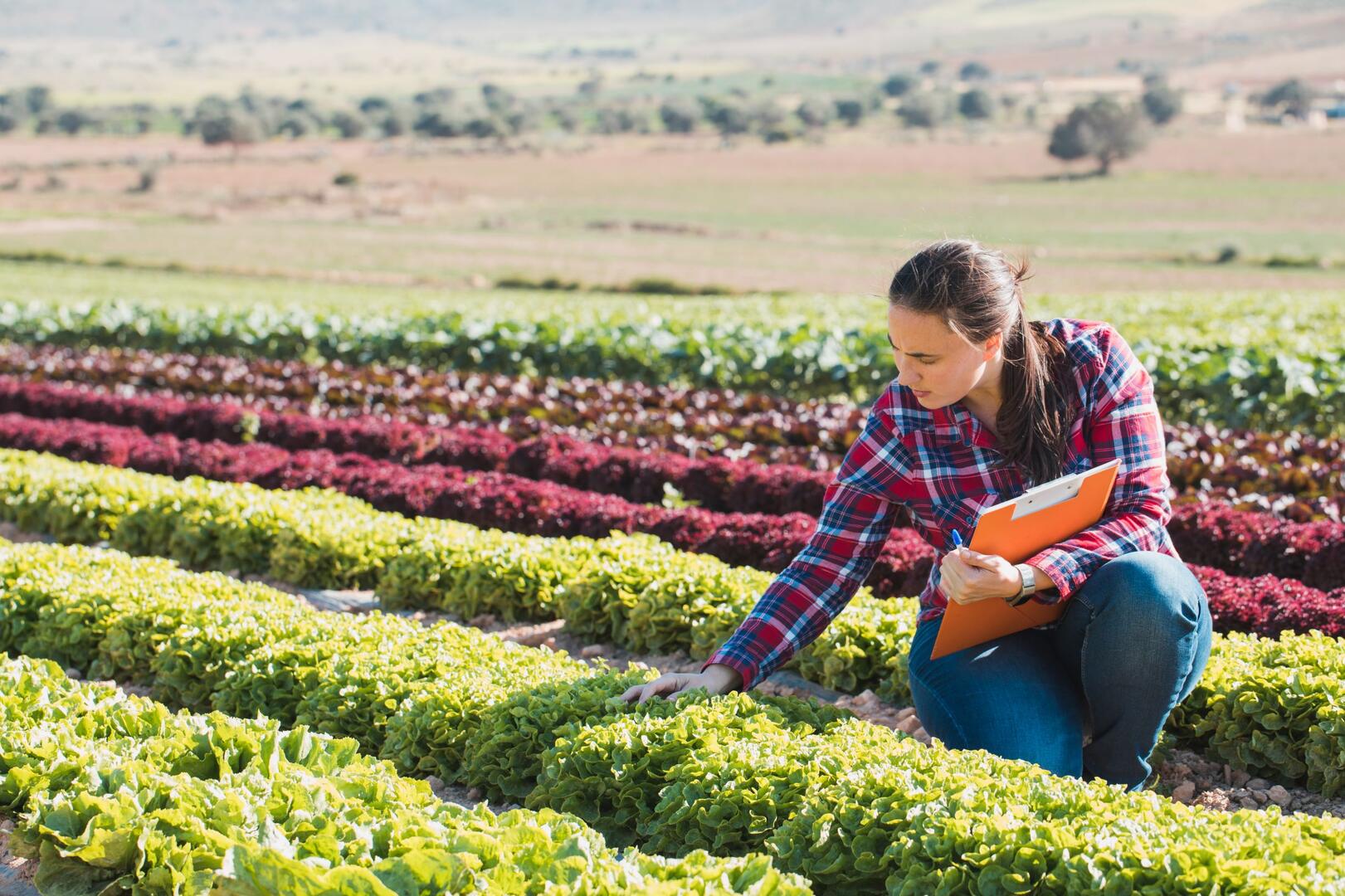 ¿Por qué se pelean las empresas por los ingenieros agrónomos?