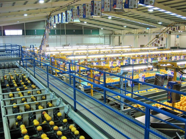 ¿Por qué se pelean las empresas por los ingenieros agrónomos?