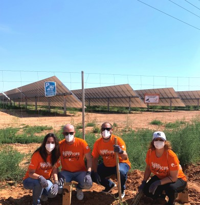 Soltec y Anse reforestan la planta solar de La Asomada en Cartagena