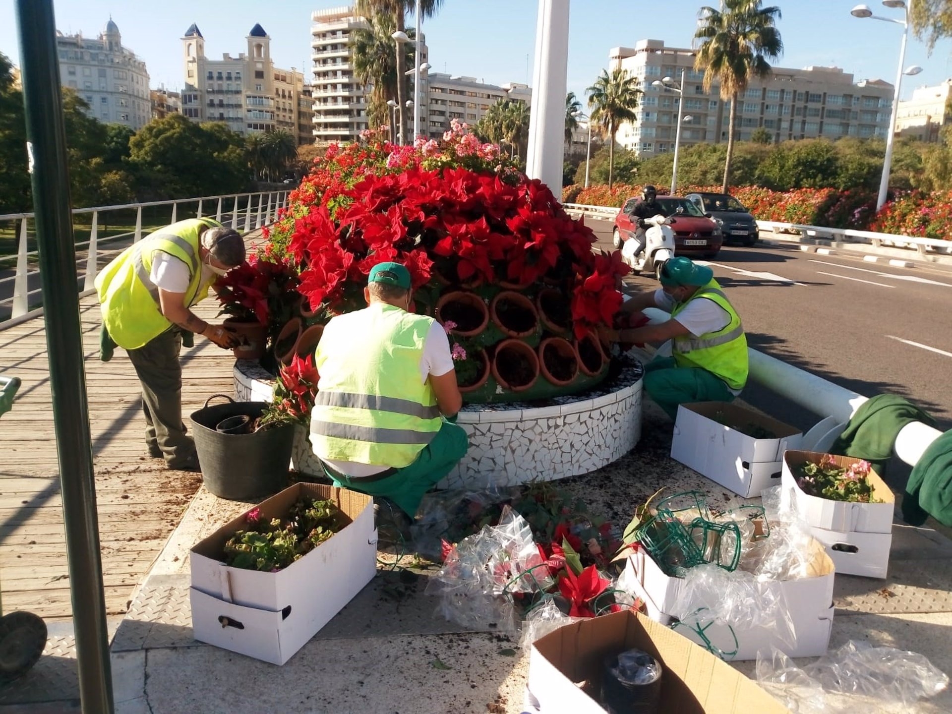 La OAM de Parques y Jardines aprueba crea la dirección jurídico-administrativa