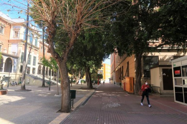 La región albergará cinco nuevos títulos universitarios a partir del próximo curso