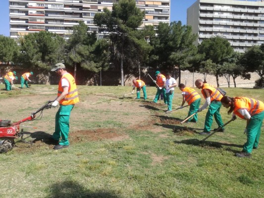 Parques y Jardines presenta la oferta formativa del segundo semestre con más cursos para mayores
