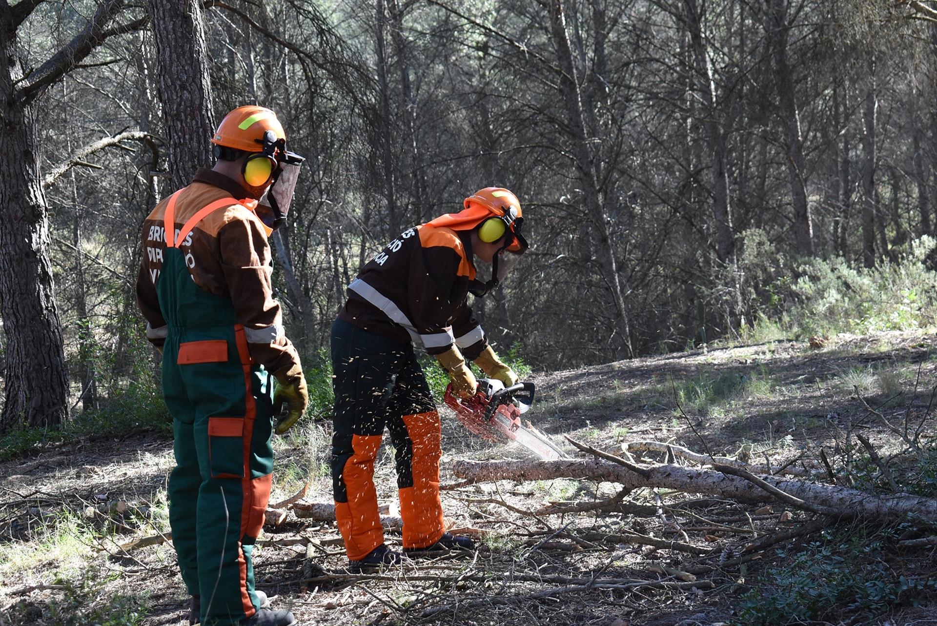 La Generalitat multiplica por cuatro la aprobación de Planes Locales de Prevención de Incendios