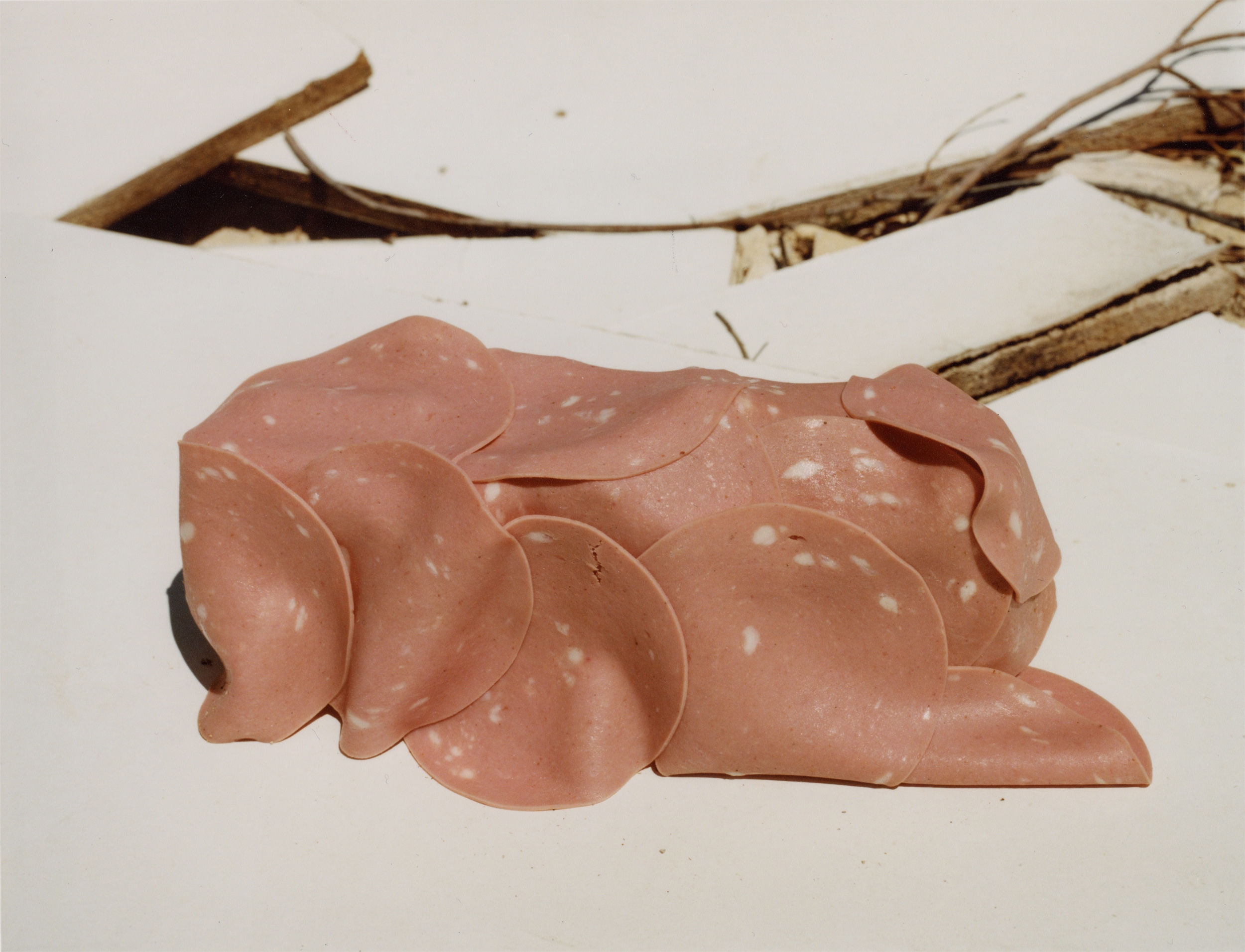 Alberto Feijóo: interrumpir un proceso para hacerlo visible