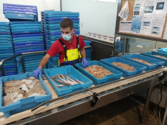 La pesca tradicional de Dénia, amenazada por las piscifactorías internacionales