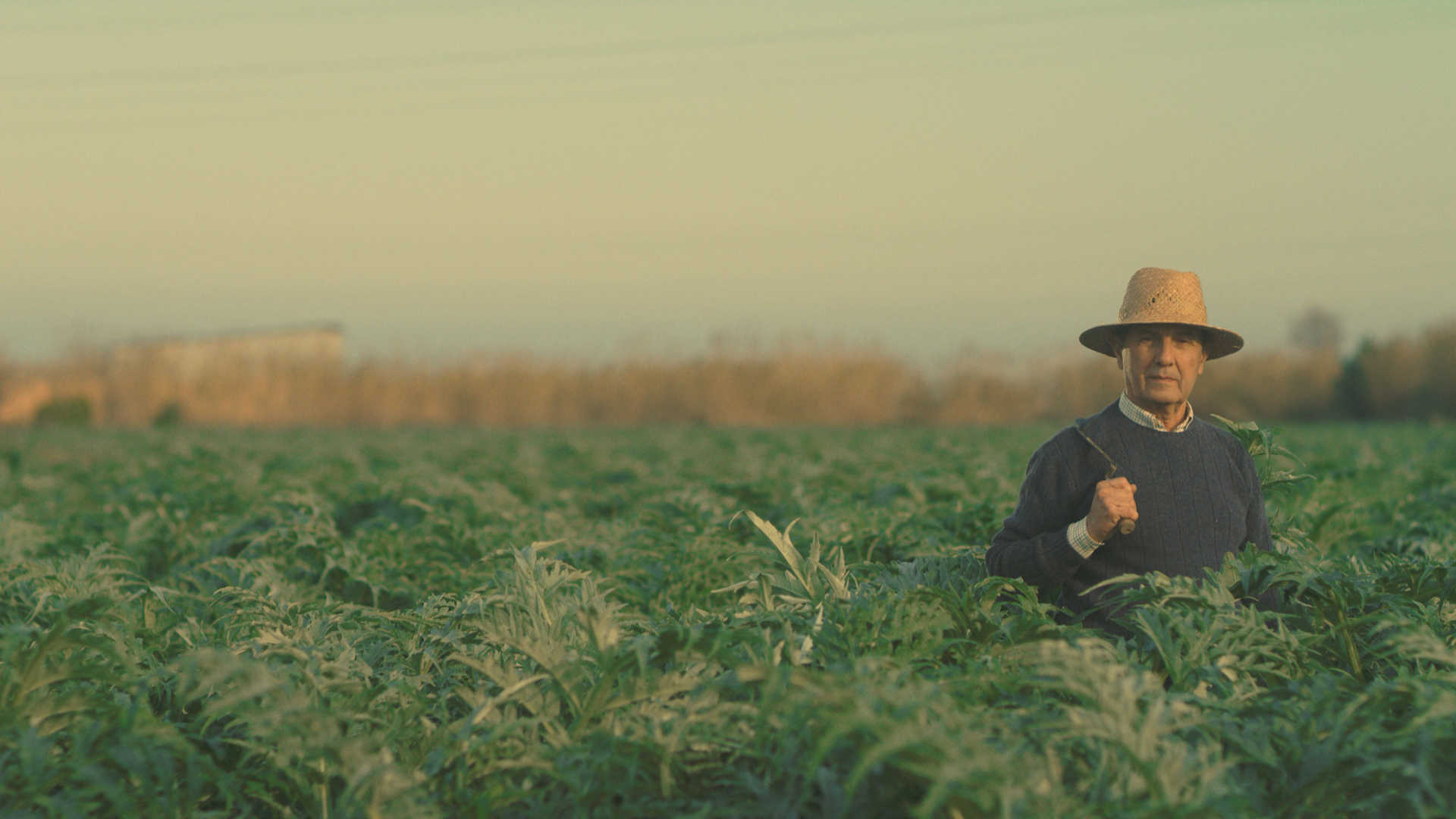 Un festival para rendir homenaje a l'horta de València