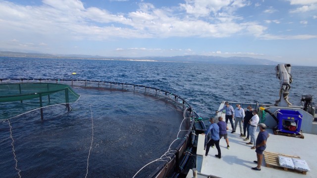 El proveedor griego de pescado de Mercadona abre una piscifactoría en España para lubina y dorada
