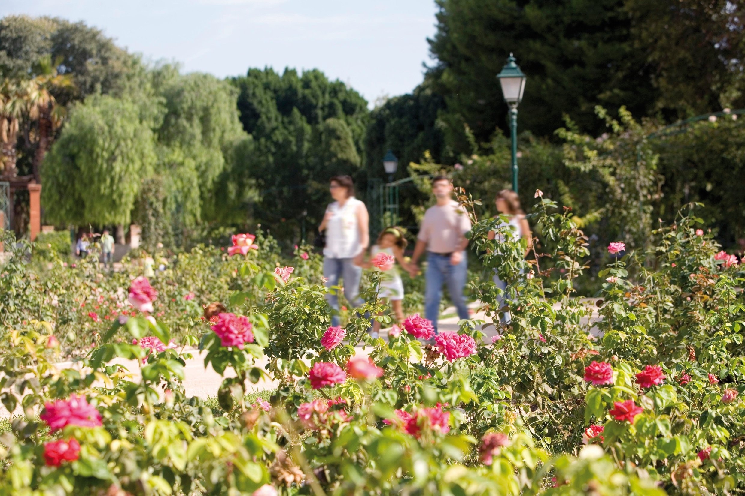 Foto: EUROPA PRESS - 