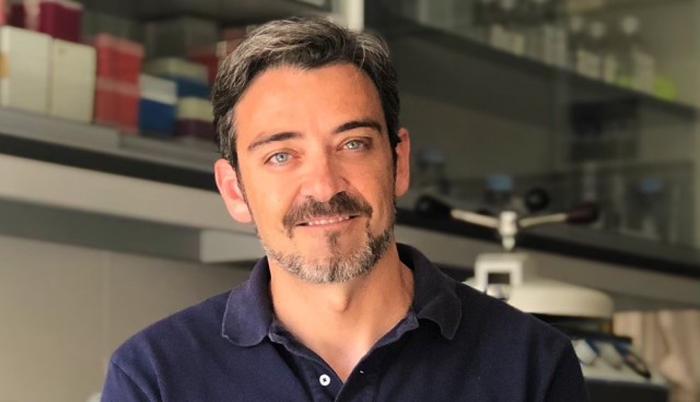 Rubén Francés: 