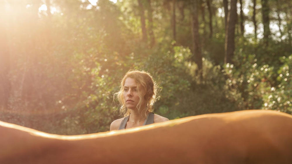 'All the Pretty Horses' - 