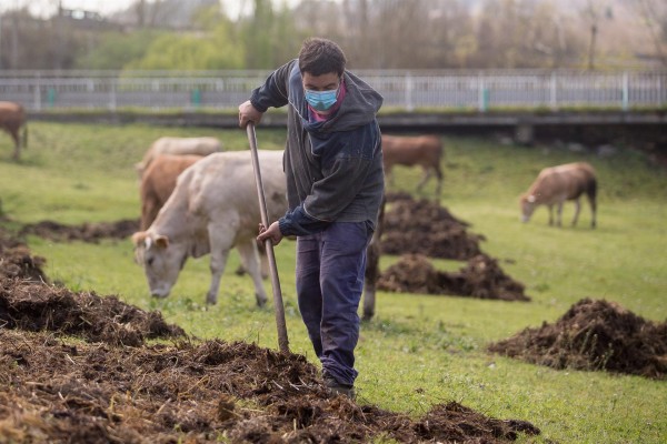 El Gobierno aprueba ayudas para apoyar el relevo generacional y la formación de jóvenes agricultores