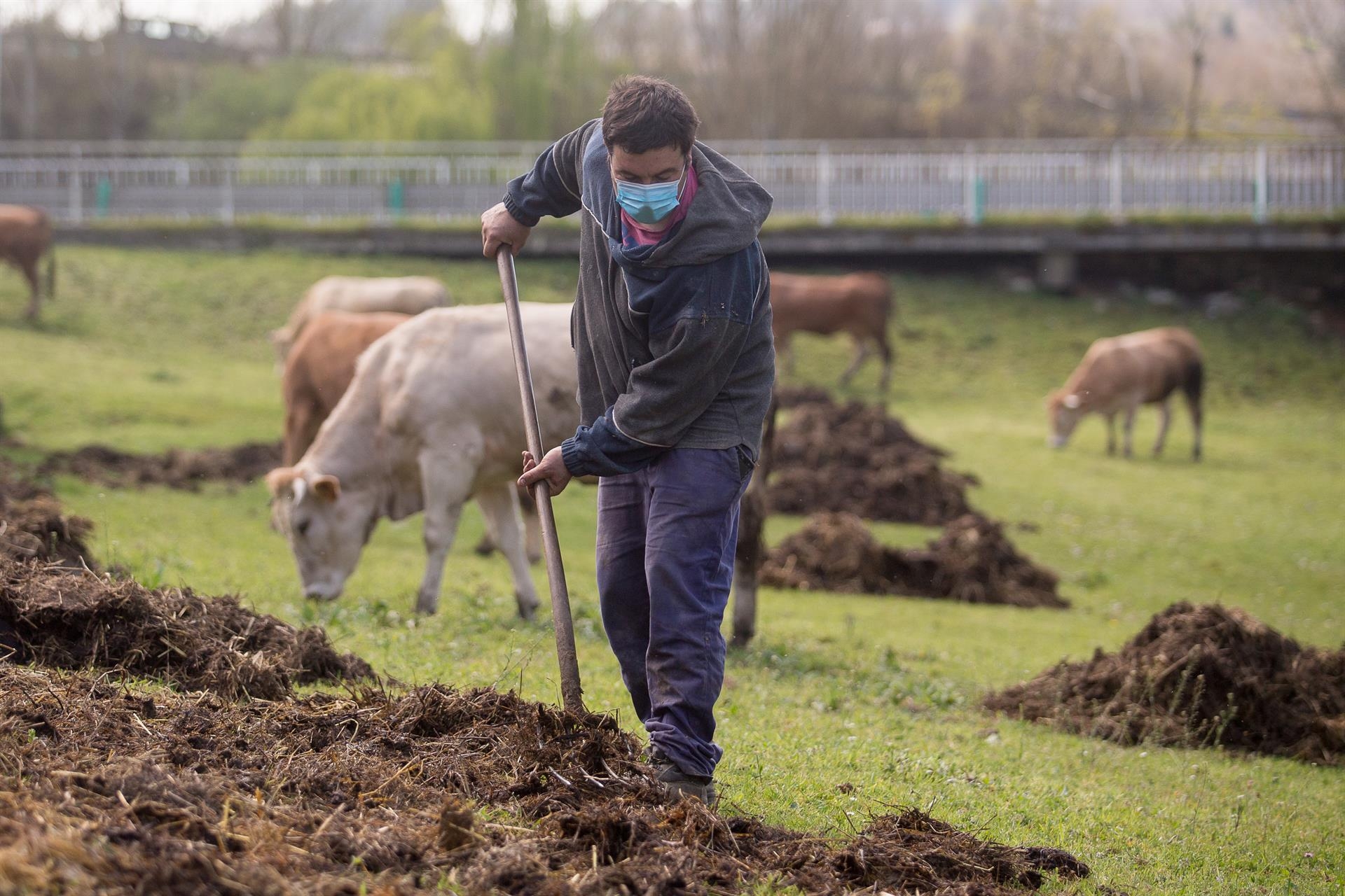 El Gobierno aprueba ayudas para apoyar el relevo generacional y la formación de jóvenes agricultores