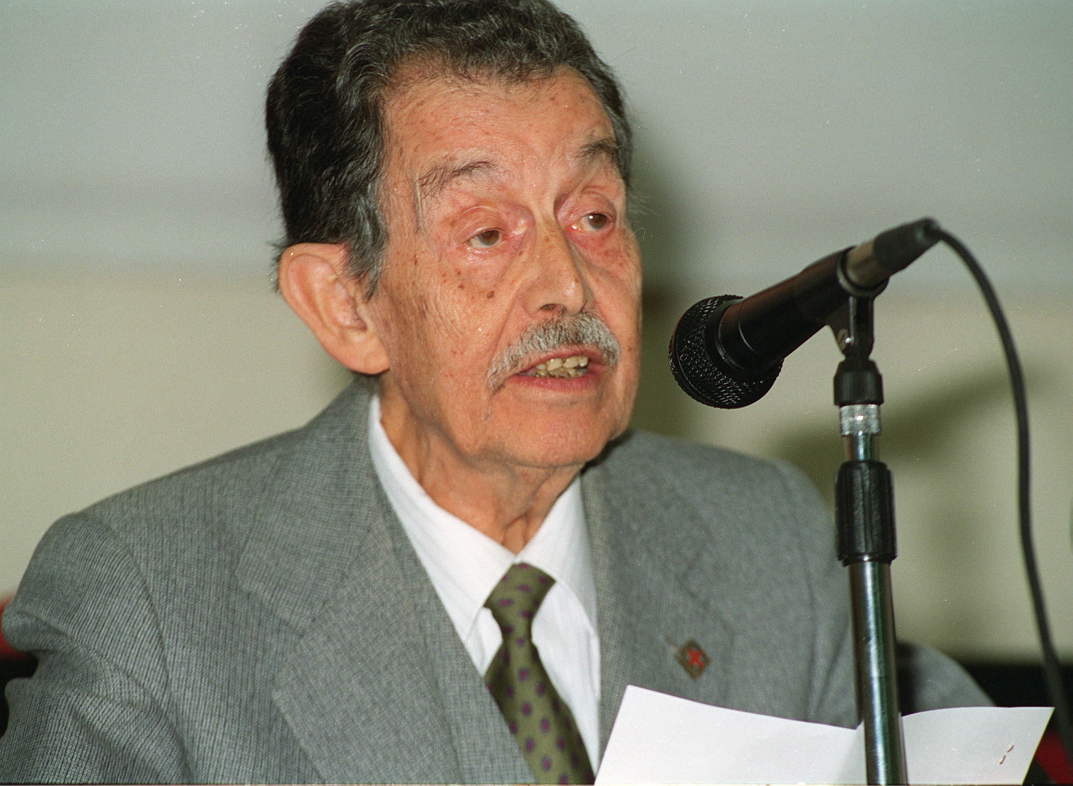 Foto: EFE/J.C. CÁRDENAS - 